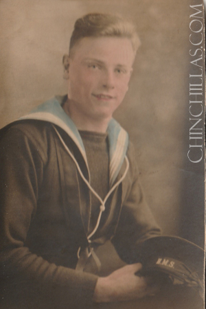 Douglas Frank Gillingham British Royal Navy Violet Chinchilla
